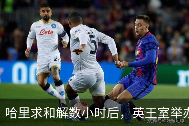 哈里求和解数小时后,英王室举办盛大国宴,凯特戴王冠光彩夺目